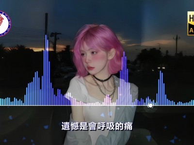 某音0距离U盘音乐资源拷贝,音质没得说就是好 mp3/wav/26.5GB