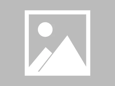 Photo Editor APP v11.5 很不错的照片编辑器,P图神器,解锁高级版